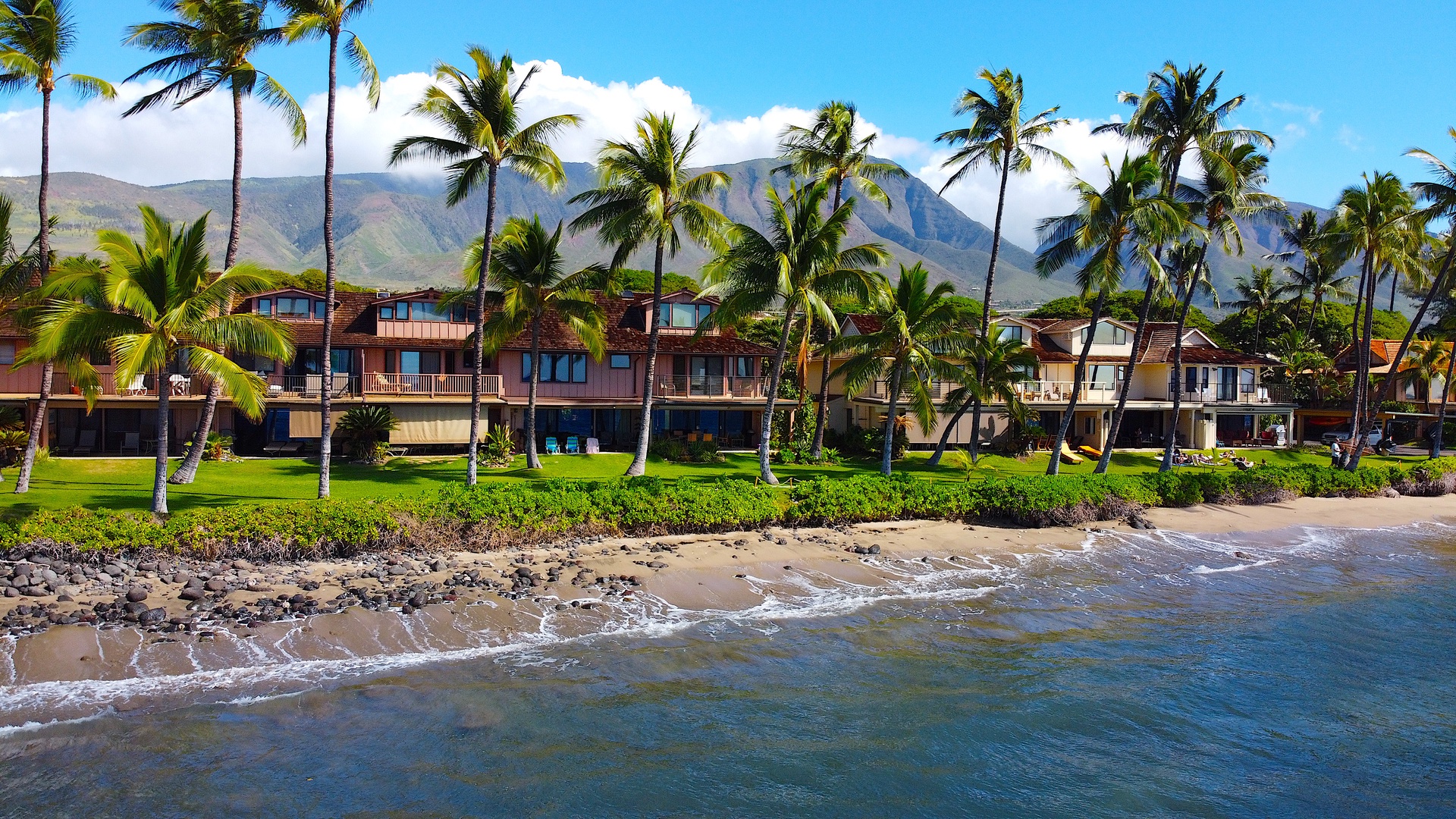 Lahaina Vacation Rentals, Puamana 240-3 - Escape to a tropical oasis with lush greenery and beachfront serenity.