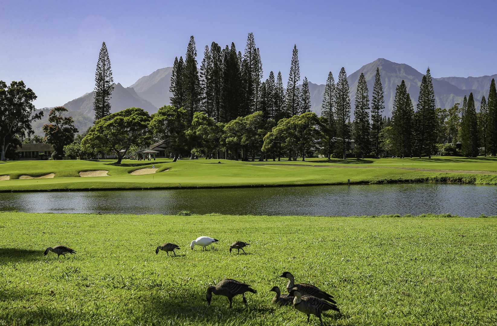 Princeville Vacation Rentals, Pualani Villa - Scenic views with lush greenery and mountain backdrops.