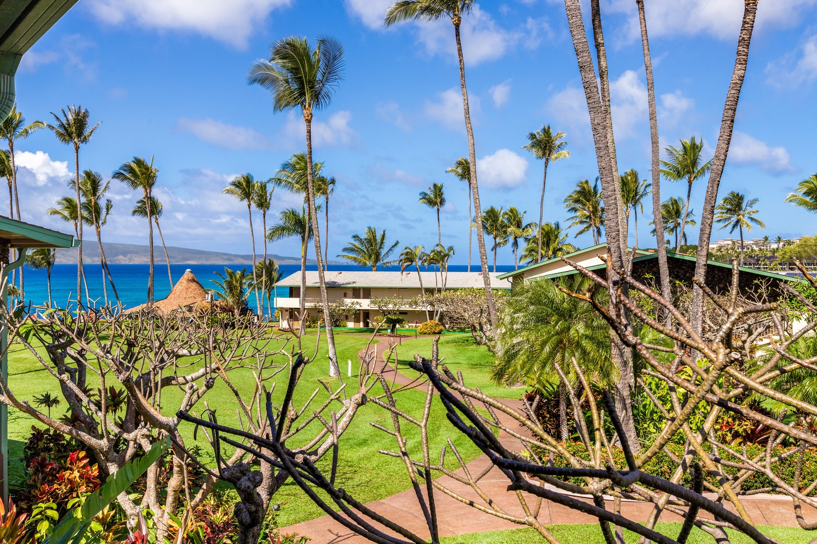 Lahaina Vacation Rentals, Napili Shores F-252 - Beautiful partial ocean view from the lanai of F-252-Plumeria trees bloom in the Spring/Summer