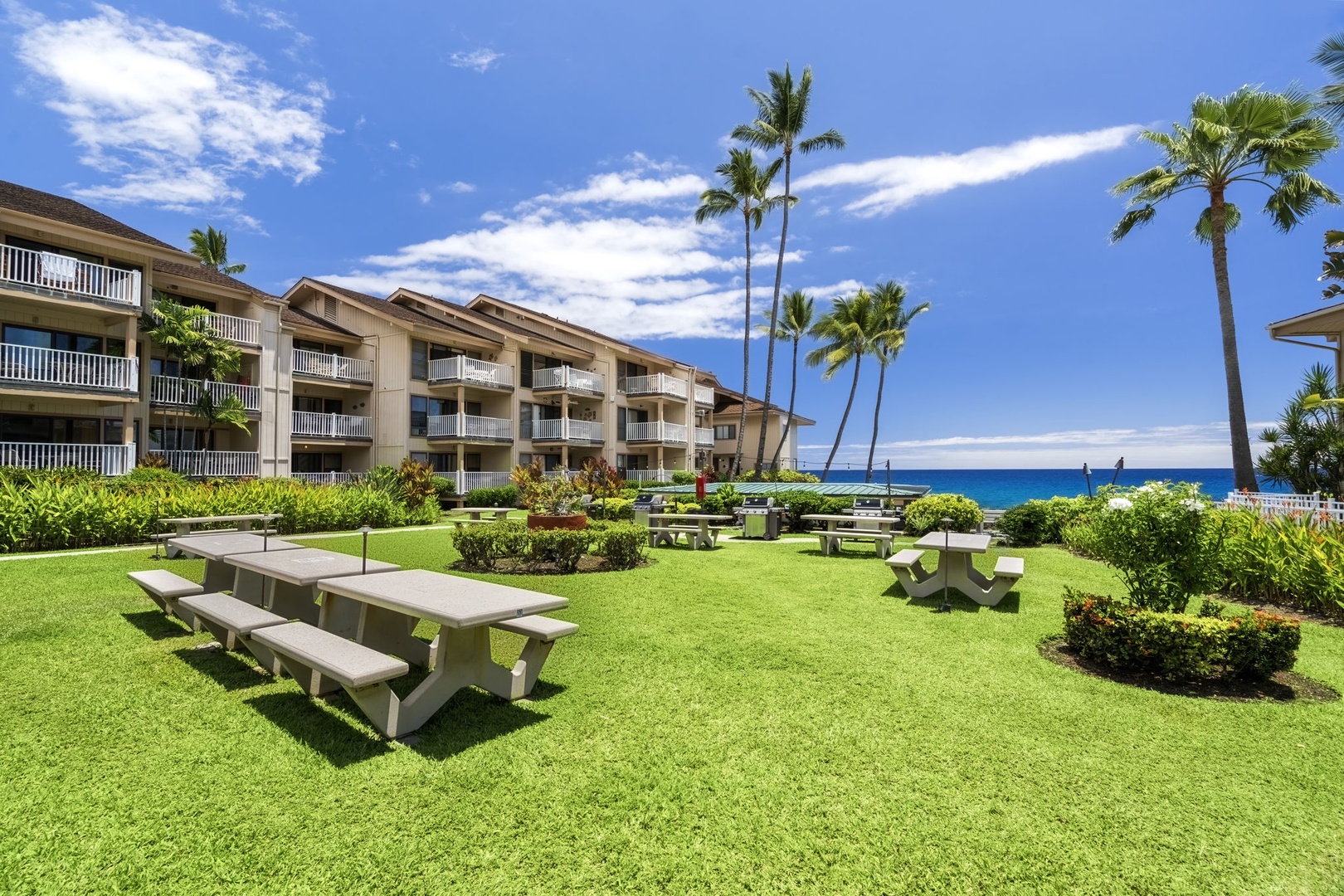 Kailua Kona Vacation Rentals, Sea Village 1105 - Lush oceanfront lawn with shaded seating invites picnics, reading, or simply soaking up the view.