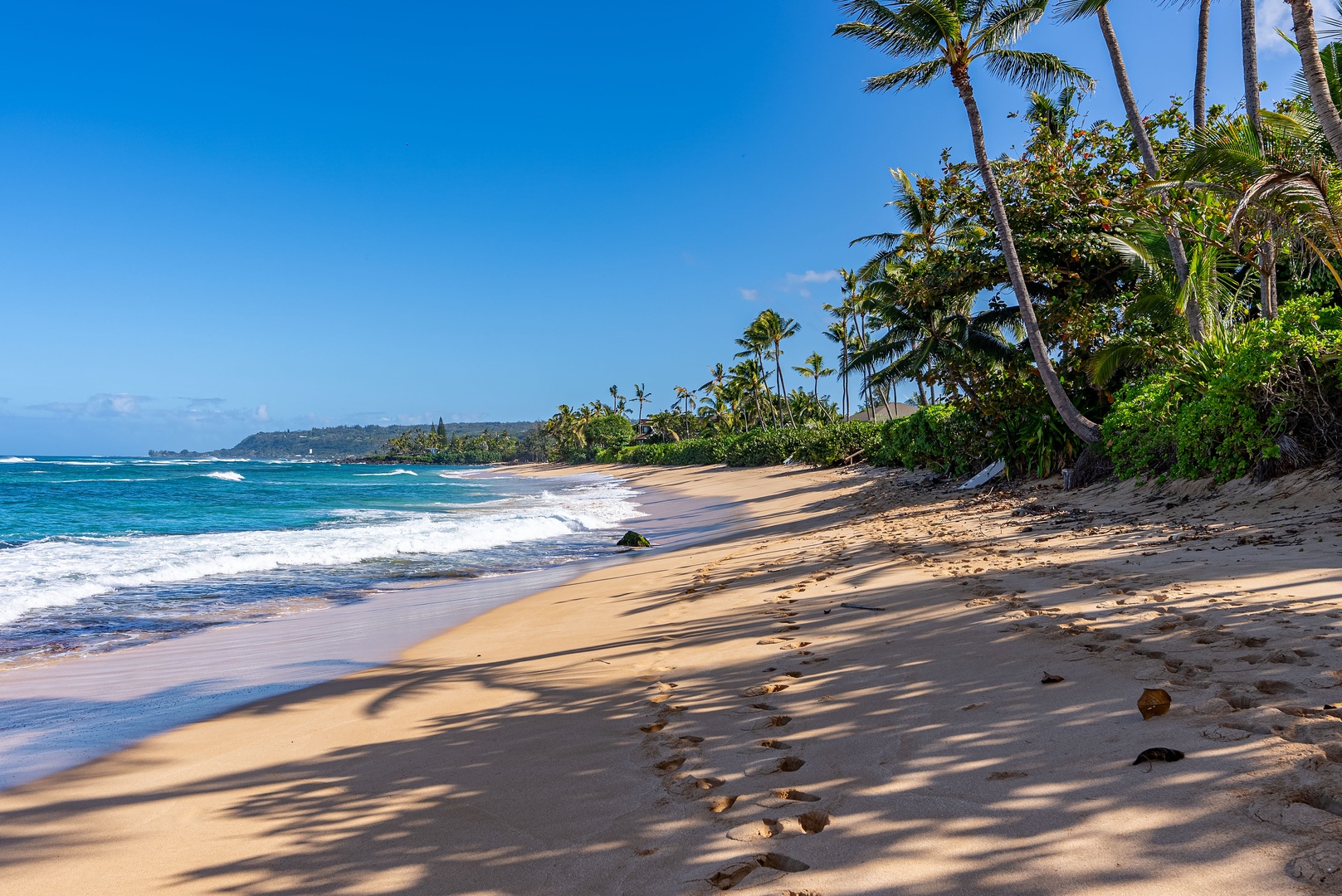 Haleiwa Vacation Rentals, North Shore Beachfront Retreat - Beautiful beach lined with palm trees and sparkling waters.