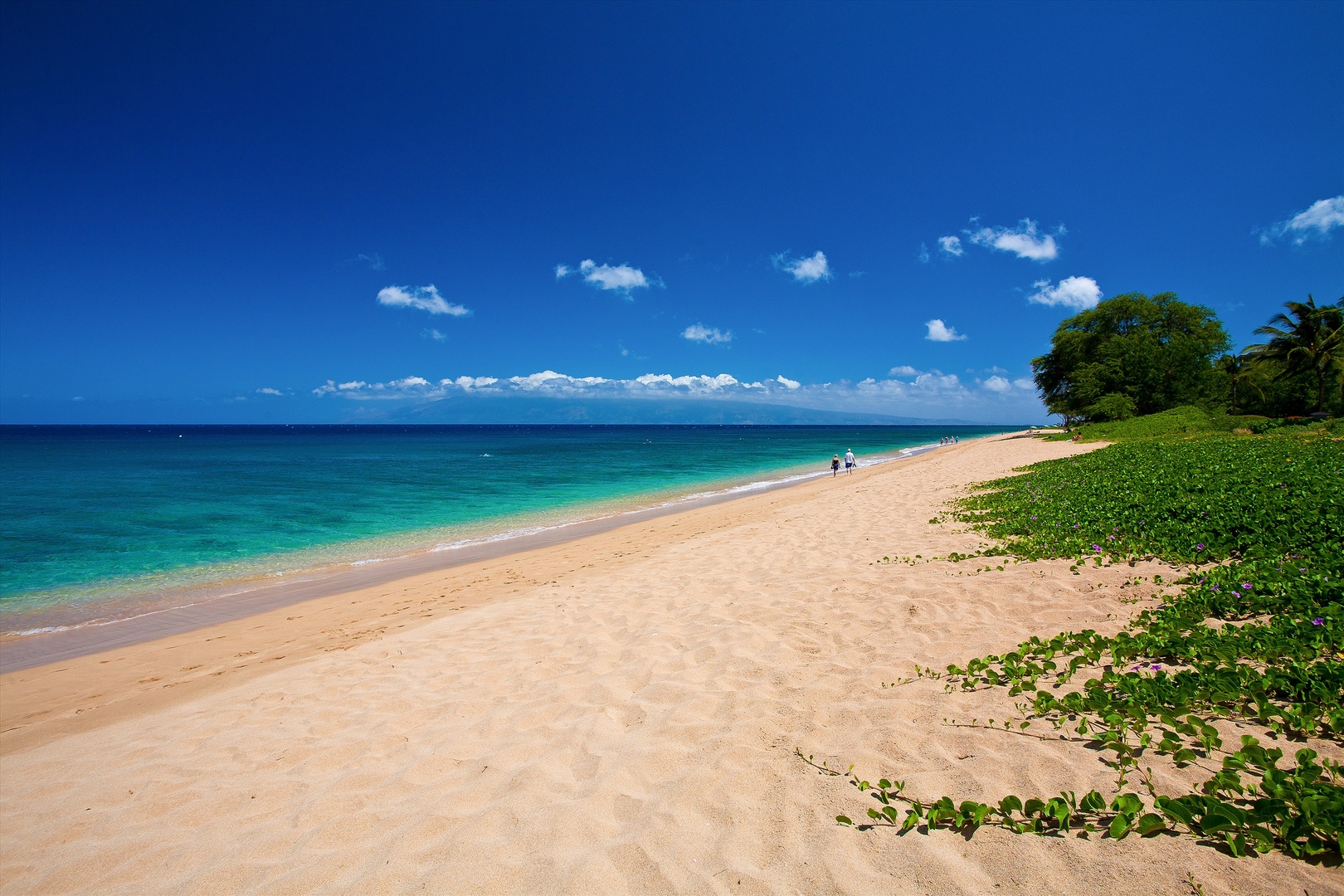 Kaanapali Vacation Rentals, Sea Shells Beach House on Ka`anapali Beach* - Your Beach Directly in Front of Sea Shells Beach House! Amazing Walks Along Kahekili Beach Park on Ka`anapali Beach