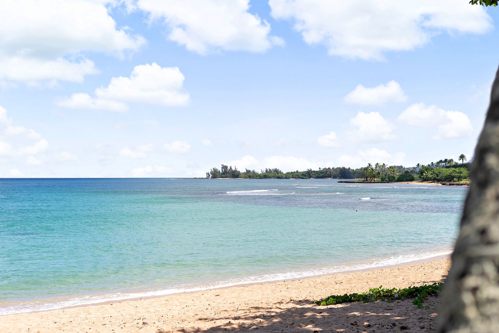 Haleiwa Vacation Rentals, Pikai Hale - Take a dip to cool off in the ocean or sunbathe on the sand