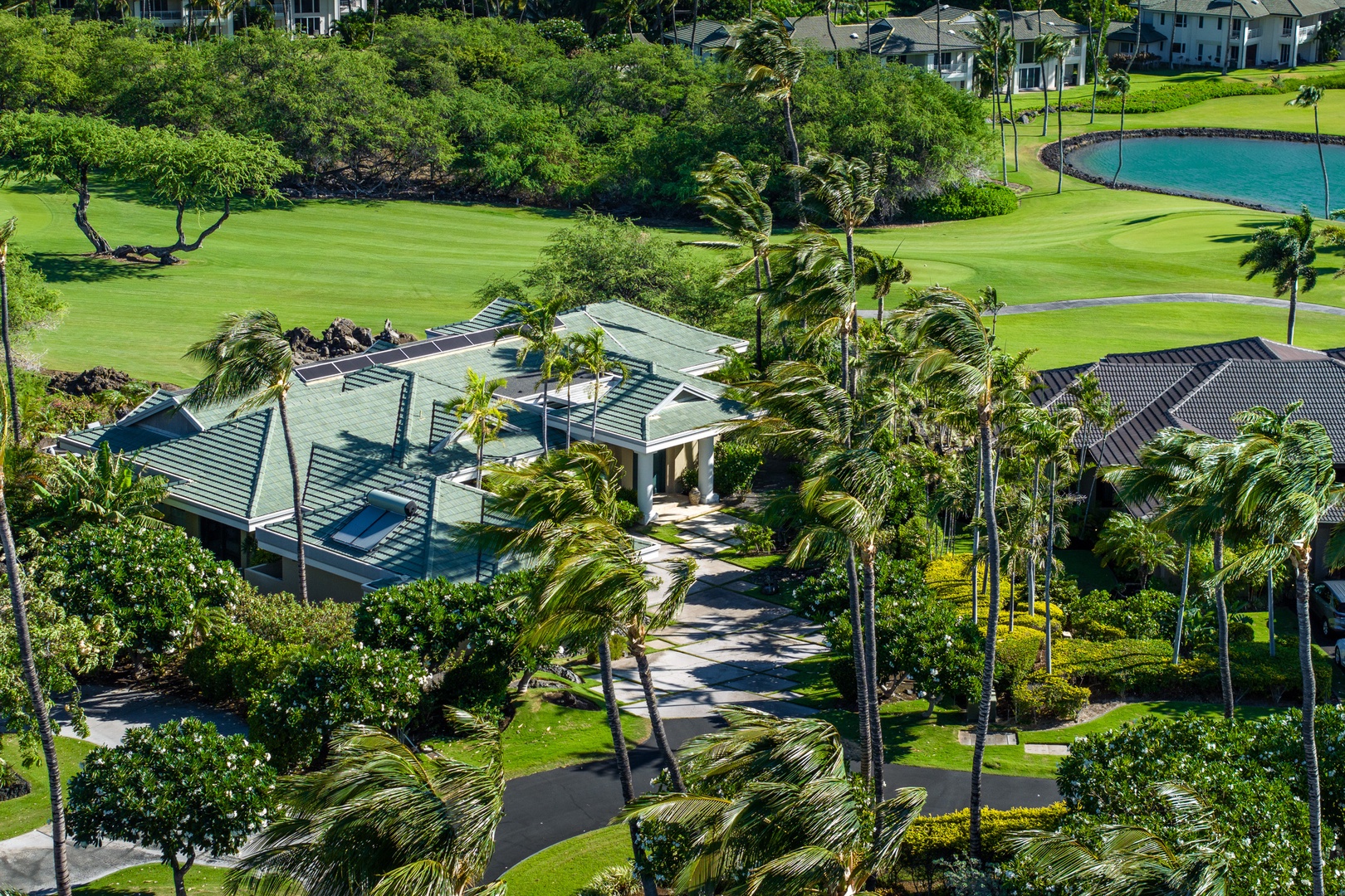 Kamuela Vacation Rentals, Champion Ridge 24 - Aerial view of Champion Ridge 24, a beautiful tropical home nestled among palm trees and greenery.