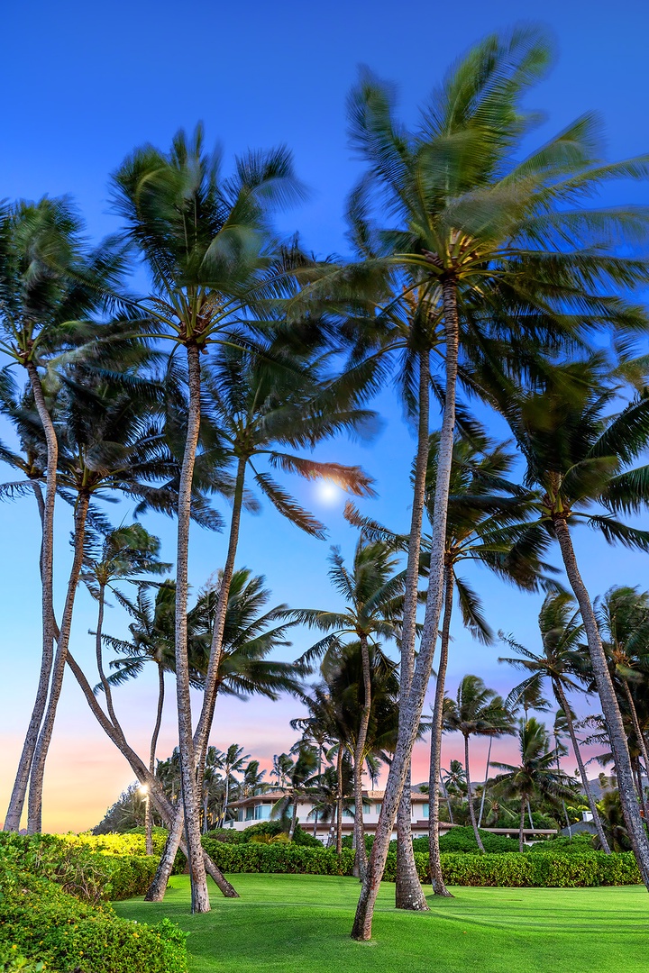 Kailua Vacation Rentals, Kailua Shores Estate 5 Bedroom - Twilight Palm Trees swaying gently under the enchanting colors of dusk.
