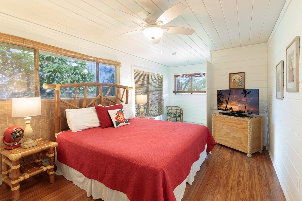 Kamuela Vacation Rentals, Honu Ohana- Puako 59 - Downstairs bedroom with King bed