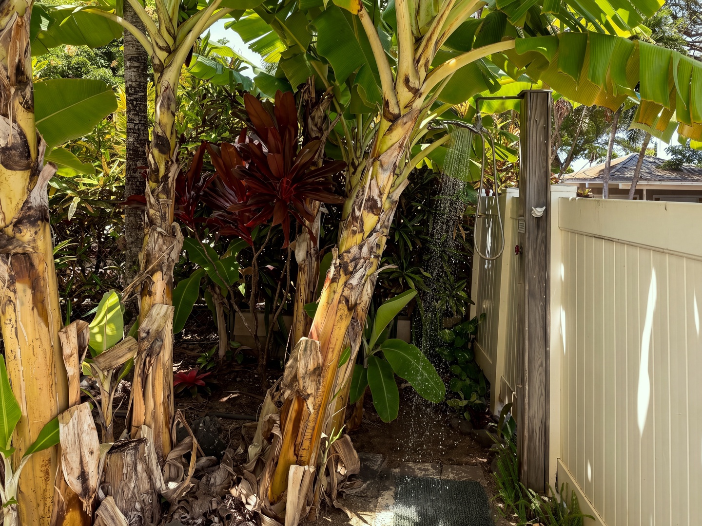 Kailua Vacation Rentals, Lanikai Ola Nani - After the beach, the outdoor shower among the banana trees. A small luxury you'll miss the moment you leave.