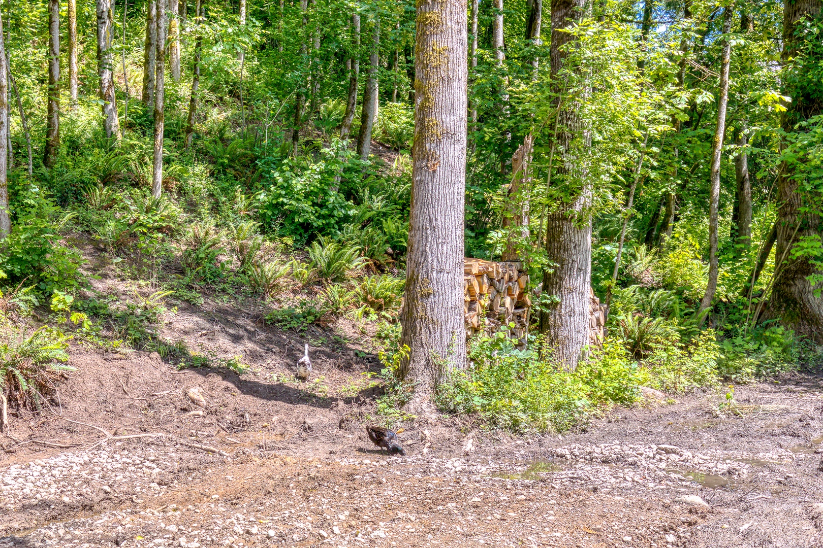 Clackamas Vacation Rentals, Duck Crossing - Enjoy the outdoors and the natural beauty of Oregon
