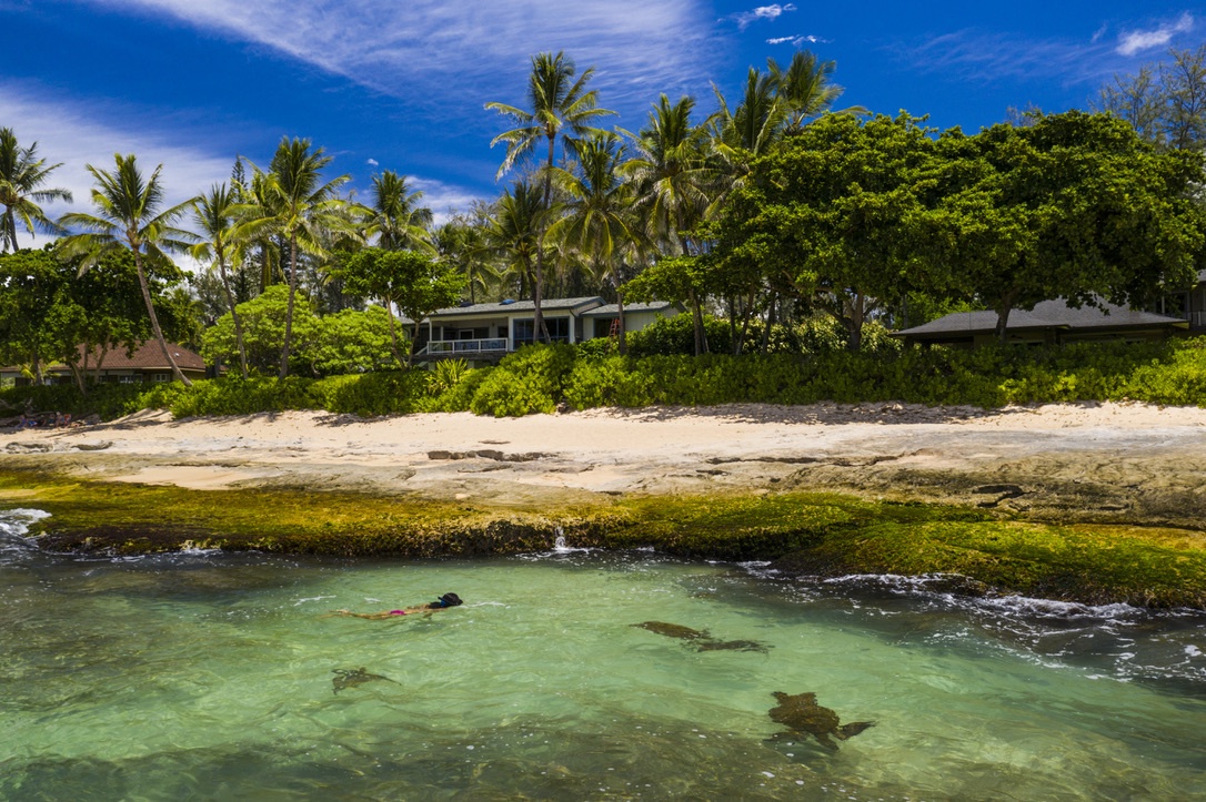 Haleiwa Vacation Rentals, Maluhia Beach House - Expect to see more sea turtles than people in these beautiful waters.