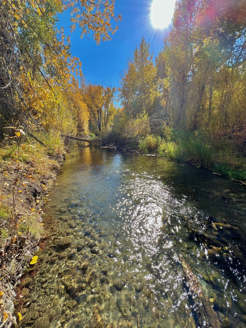 Hailey Vacation Rentals, Contemporary Red Feather Comfort - More river views