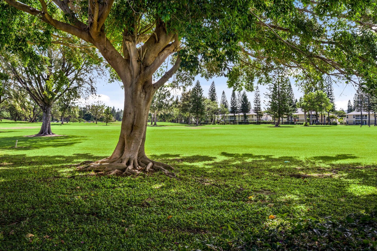 Waikoloa Vacation Rentals, Fairway Terrace F-107 - View from lanai