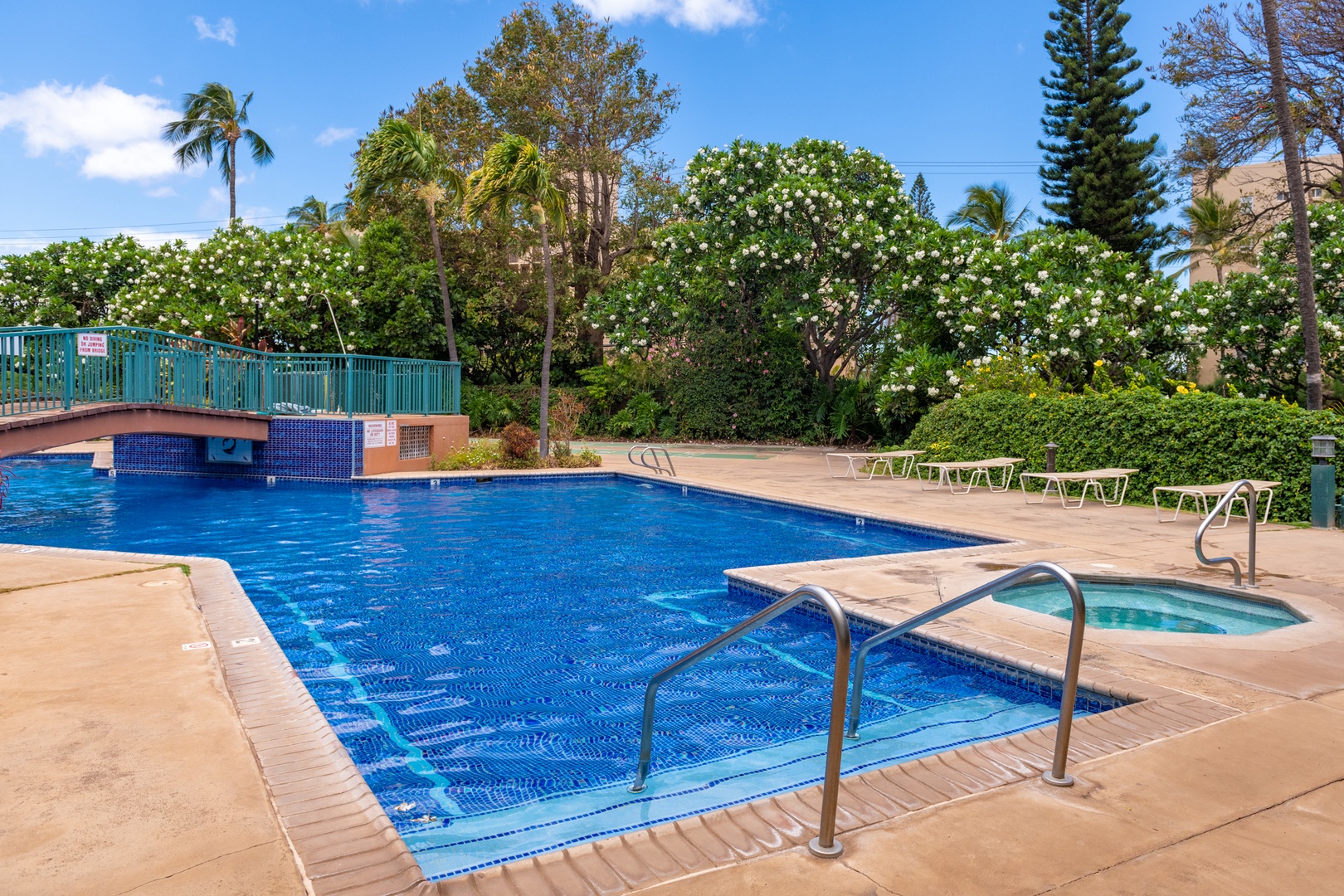 Kihei Vacation Rentals, Koa Resort 1B - Enjoy a dip in the large community pool surrounded by palm trees and tropical blooms.