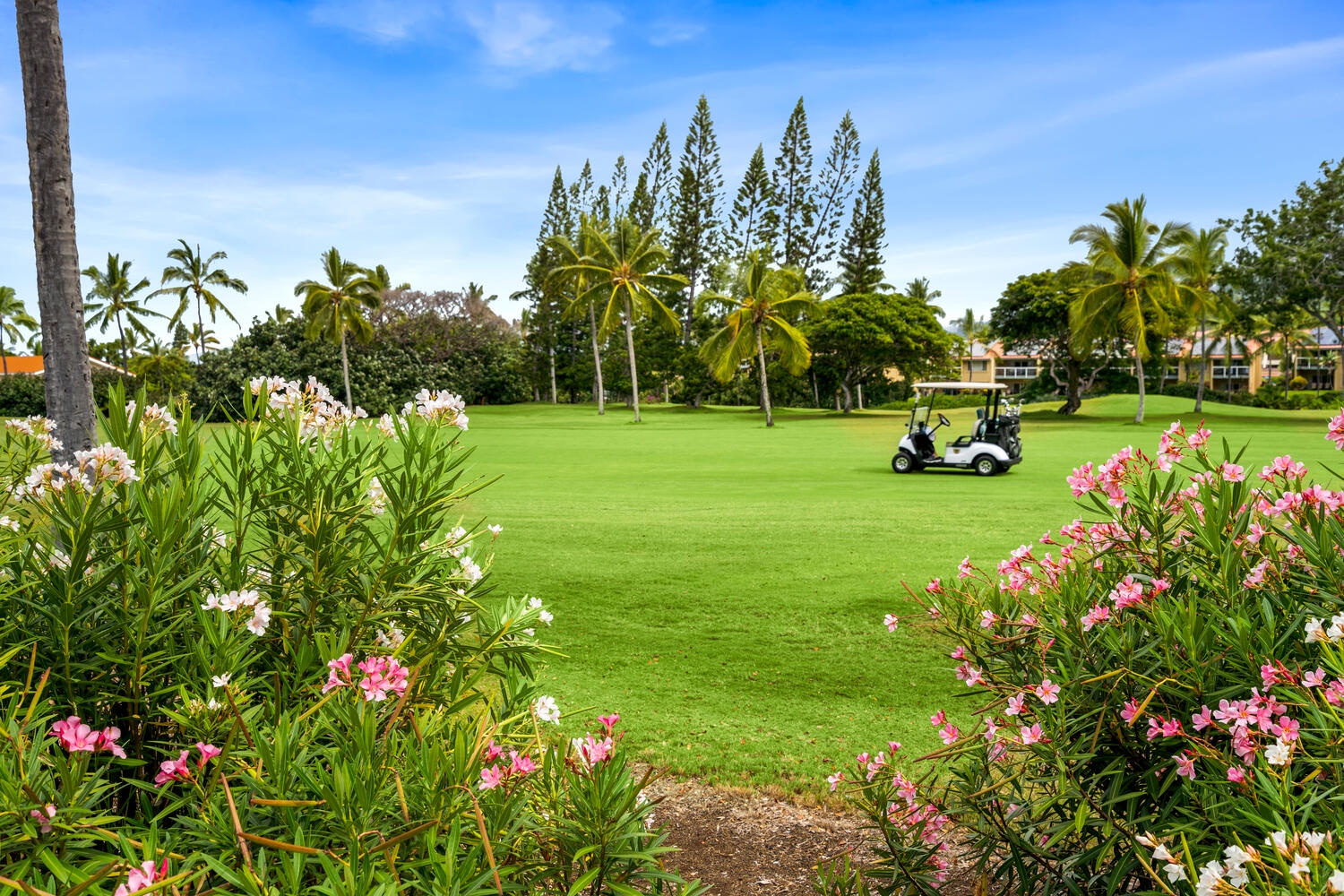 Kailua Kona Vacation Rentals, Kanaloa at Kona 3303 - The Kanoloa golf greens.