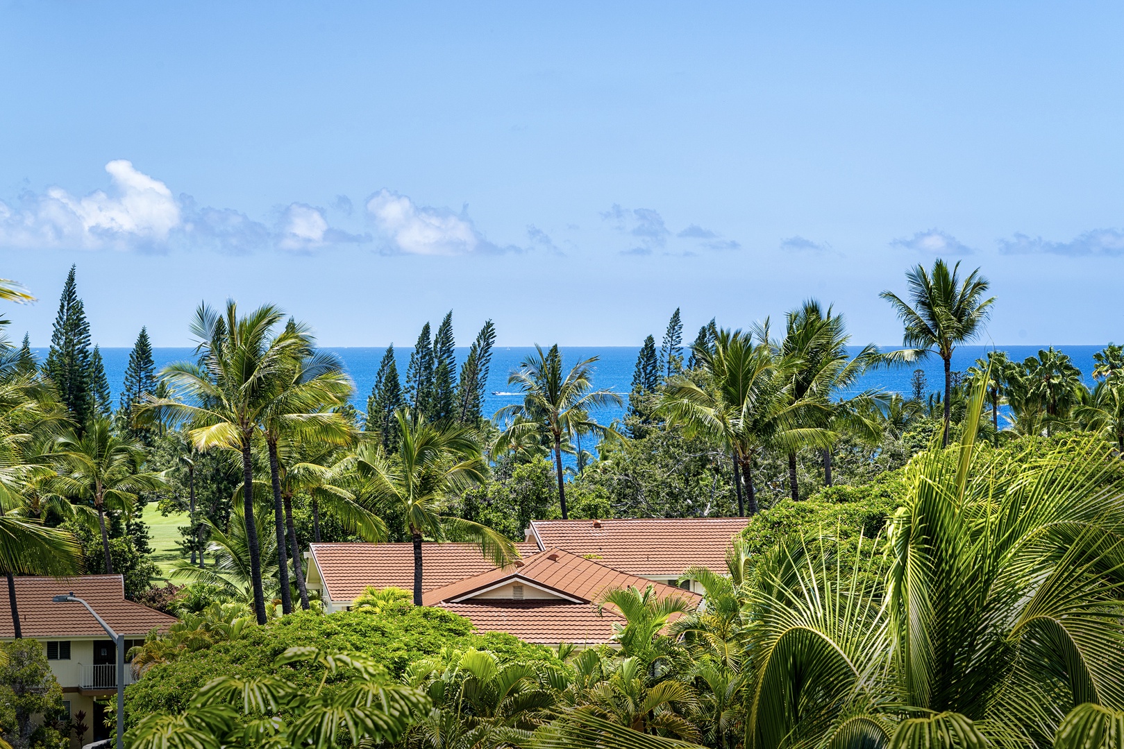Kailua Kona Vacation Rentals, Keauhou Resort 113 - Lush tropical landscaping seen from the Upstairs Lanai!