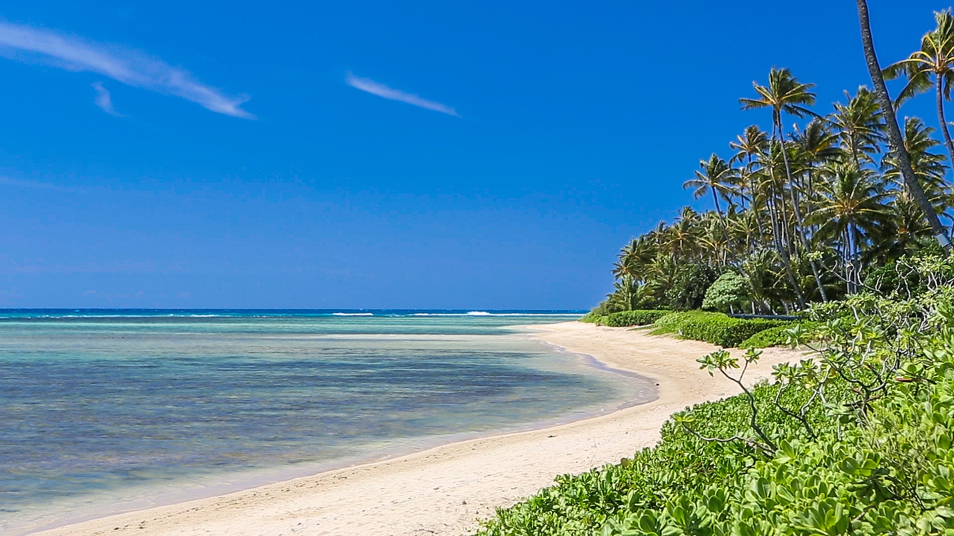 Honolulu Vacation Rentals, Kahala Mini Resort (5BR) - Palms lean over an uncrowded stretch of shoreline made for slow barefoot mornings.