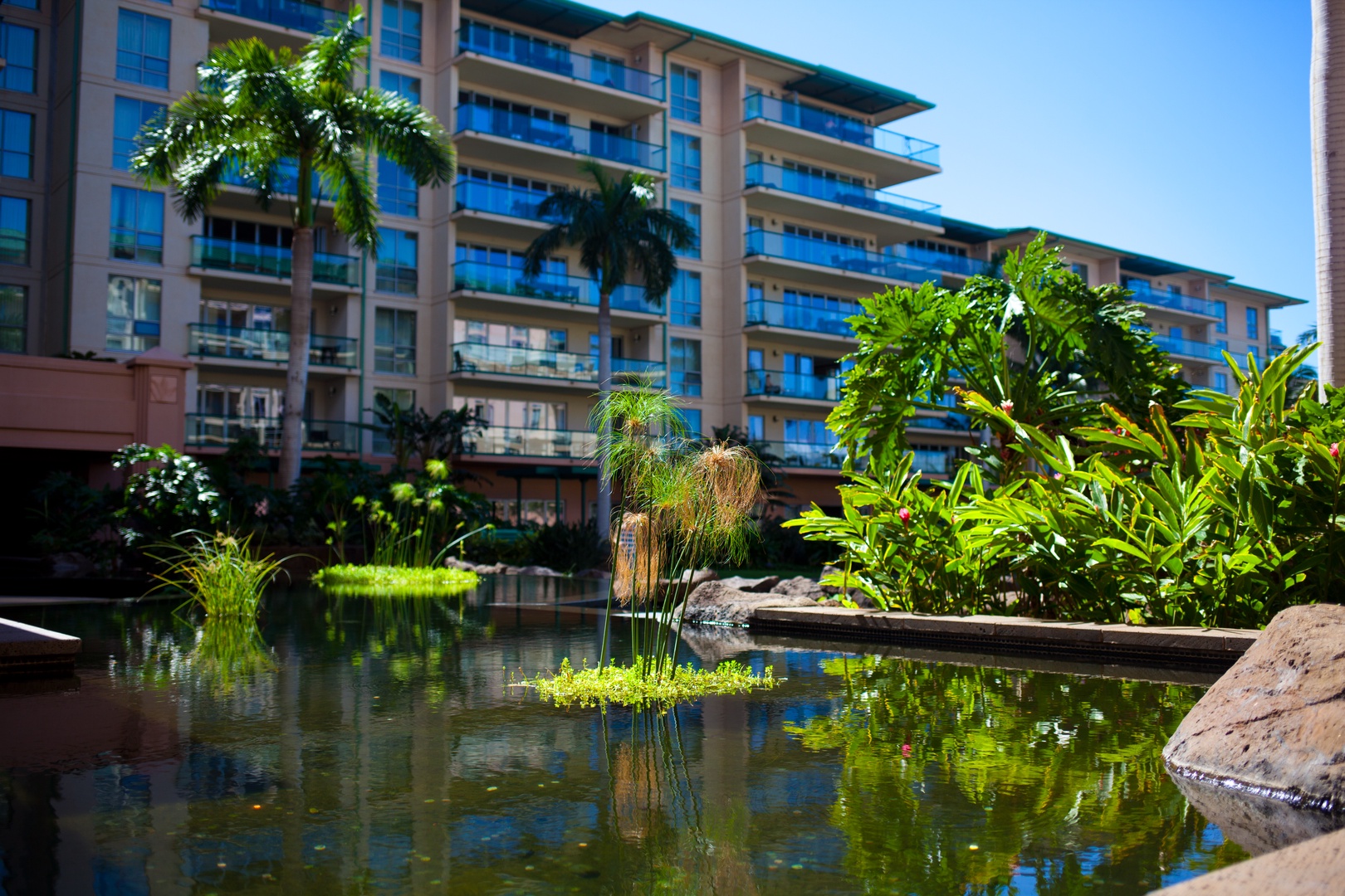 Lahaina Vacation Rentals, Honua Kai Konea 204 - Tropical gardens and koi ponds set a peaceful tone near Honua Kai Konea 204’s lush entryway.