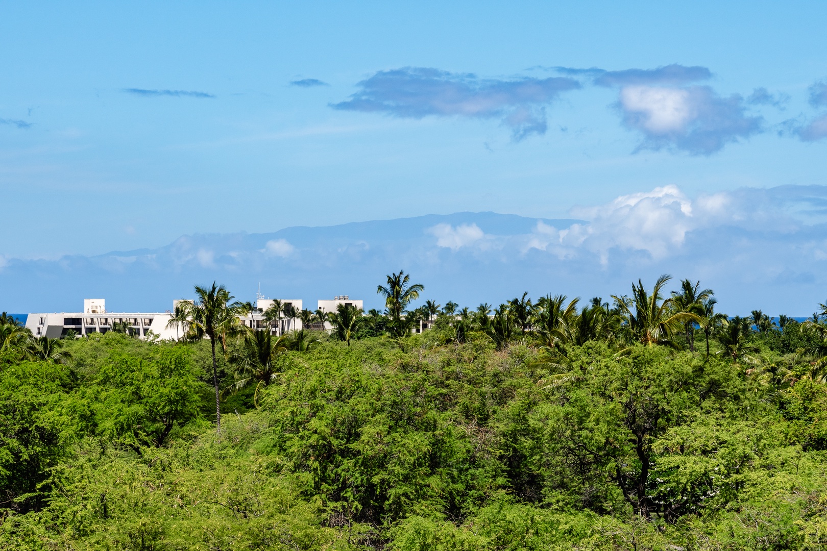 Kamuela Vacation Rentals, Champion Ridge 24 - Beautiful view of lush greenery with distant mountains and blue skies.