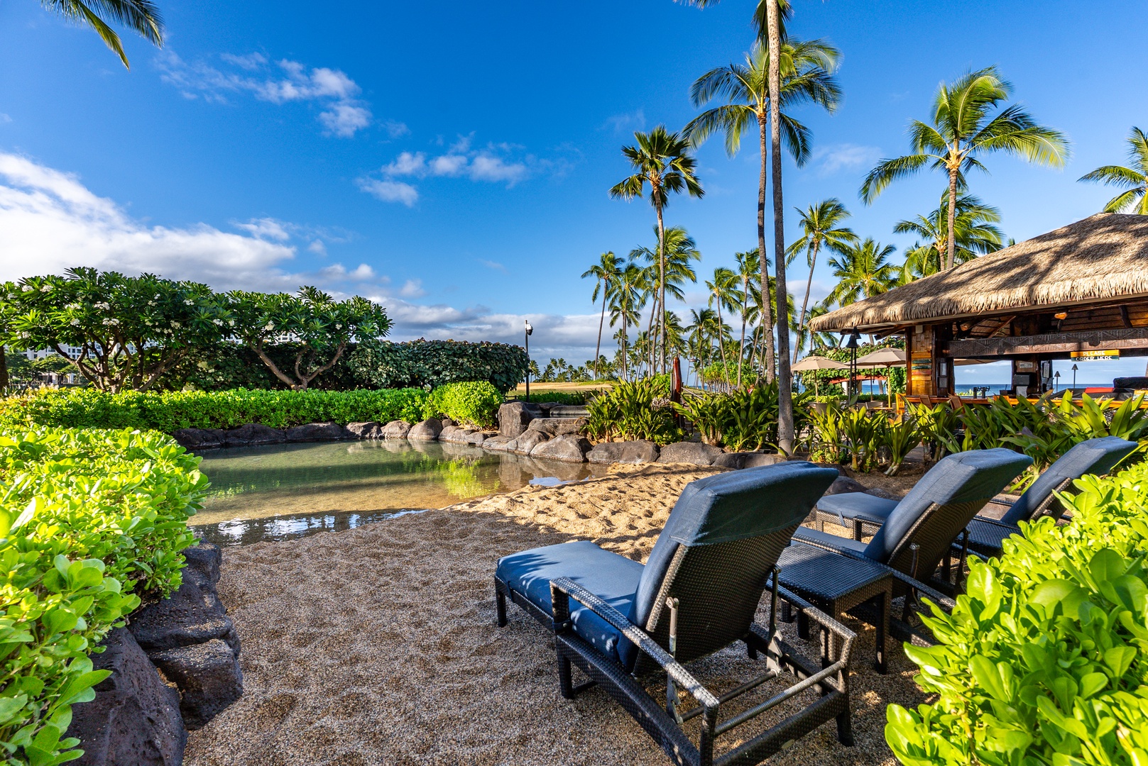 Chairs out on the sand, the ocean a short walk from the villas.