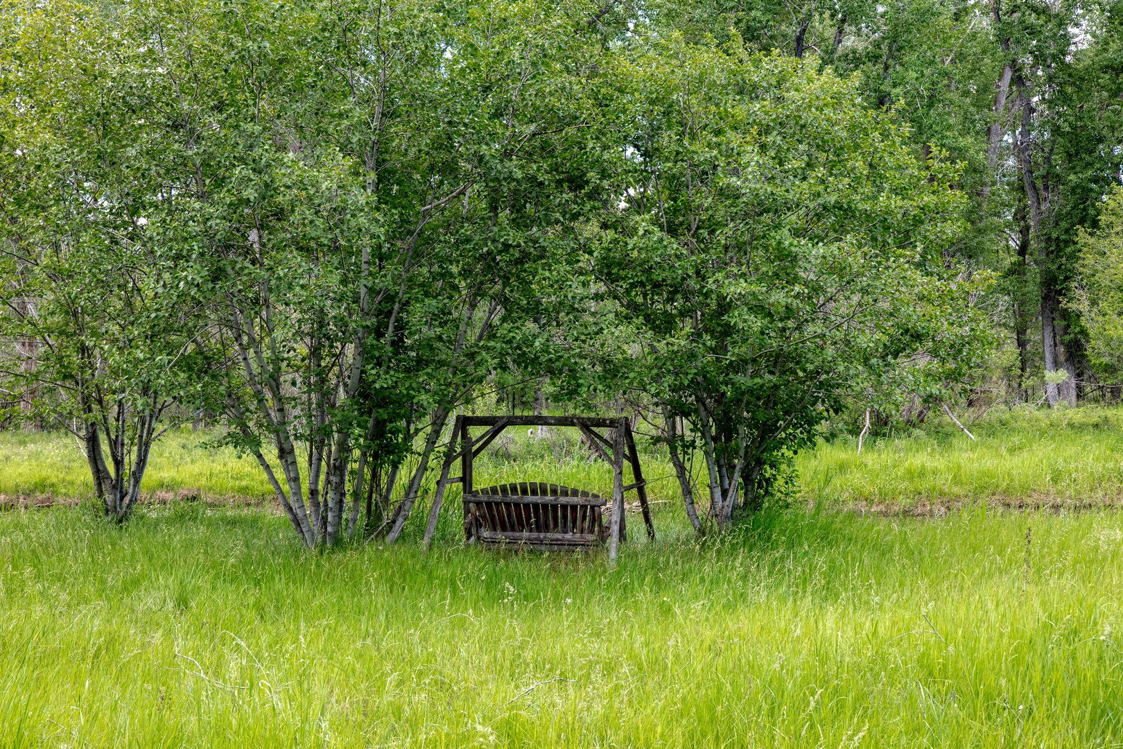 Bozeman Vacation Rentals, The Woodland Oasis - Bench in the middle of nature