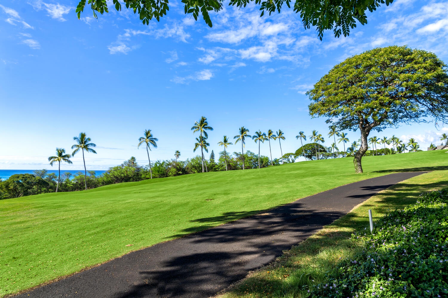 Kailua Kona Vacation Rentals, Keauhou Akahi 302 - View of the golf course.