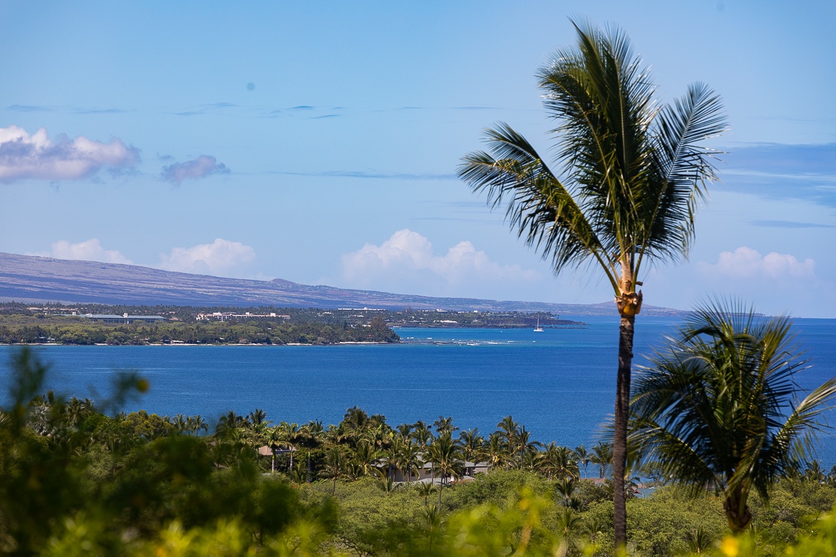 Kamuela Vacation Rentals, Mauna Kea Villas #13 - Palm-framed ocean vistas that invite you to slow down and savor every island moment.