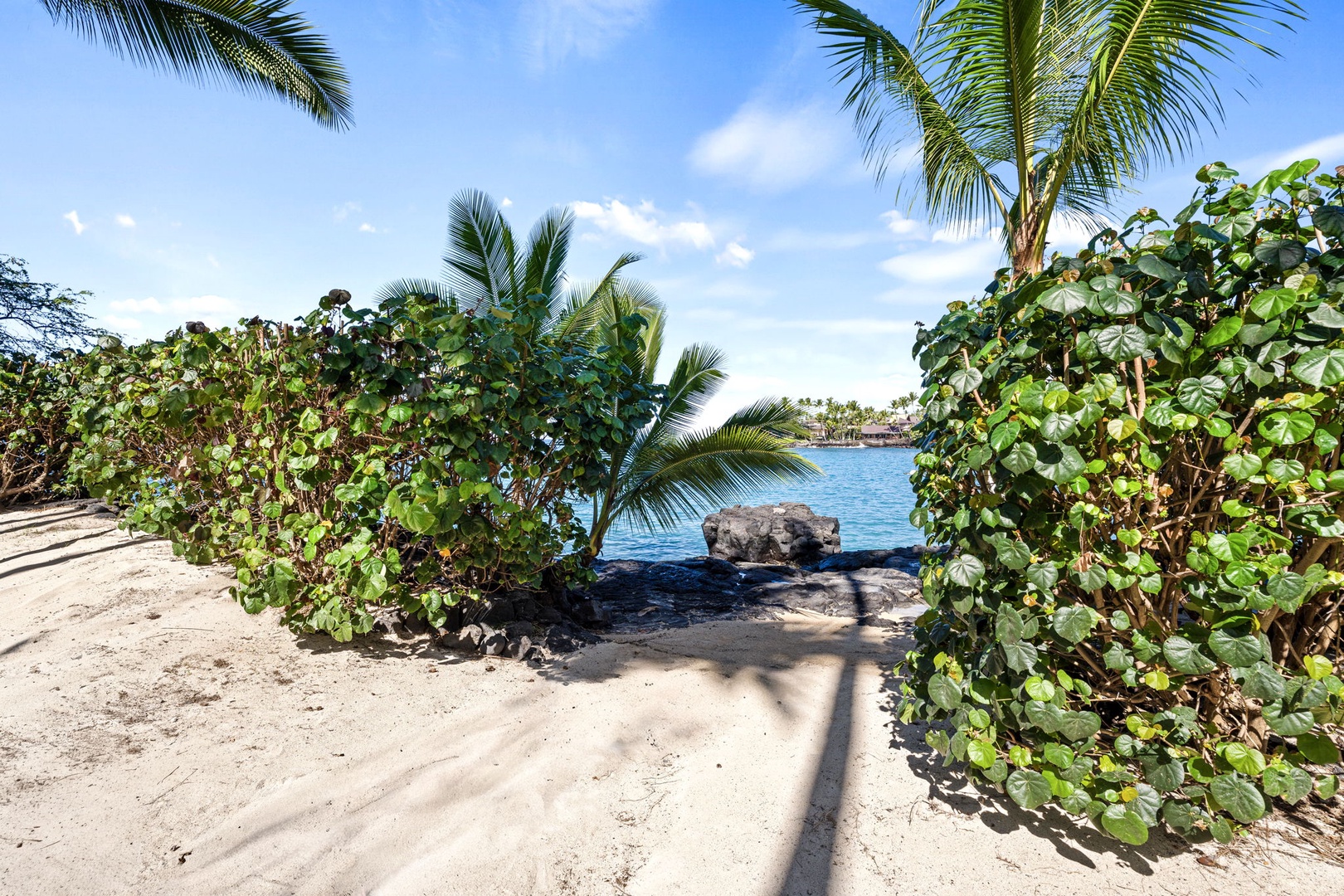 Kailua-Kona Vacation Rentals, Hahalua Bay Villa - Tropical beach paradise with swaying palms, lush vegetation, and crystal-clear waters framing this pristine coastal setting.