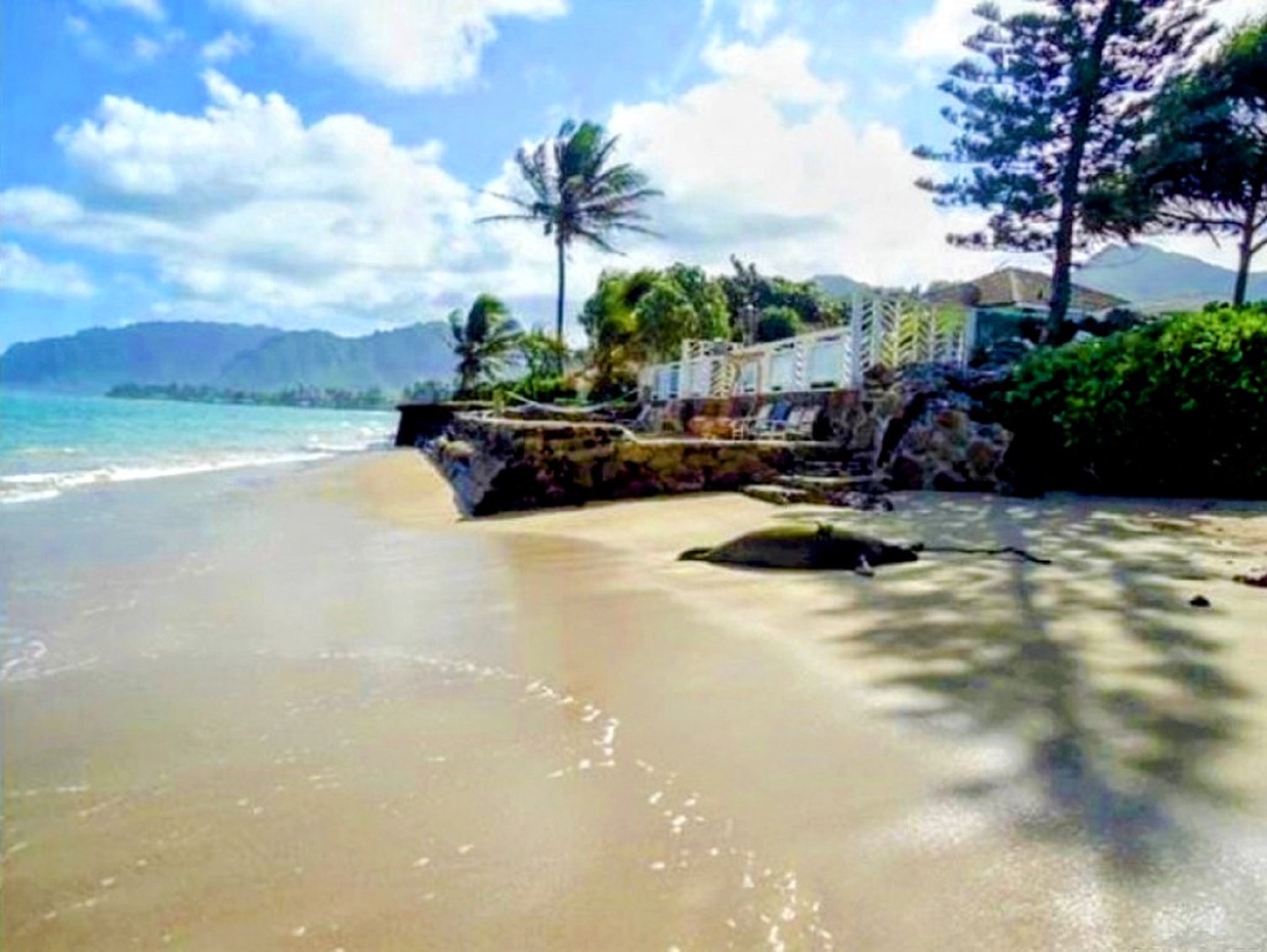 Hauula Vacation Rentals, Private Beach Paradise - Discover the natural beauty of the North Shore, where endangered Hawaiian monk seals are occasionally spotted resting along the sand near the home.