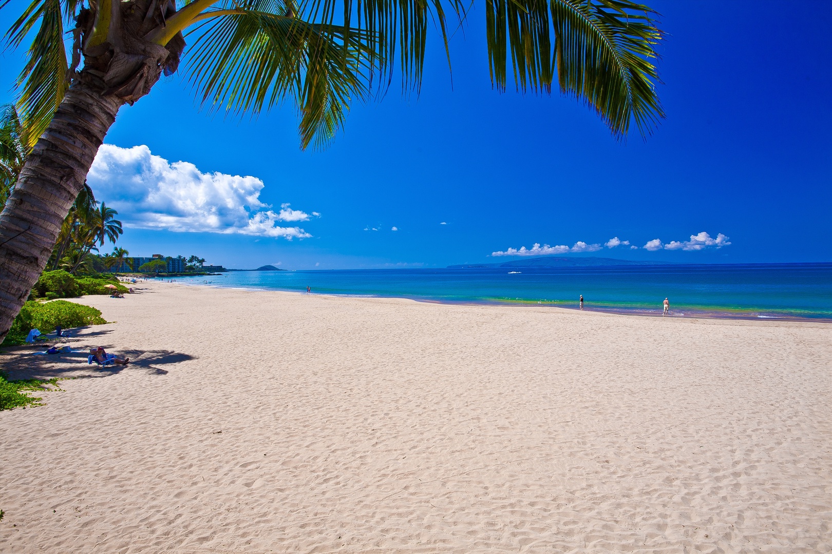 Wailea Vacation Rentals, Blue Ocean Suite H401 at Wailea Beach Villas* - Charley Young Beach in Kihei