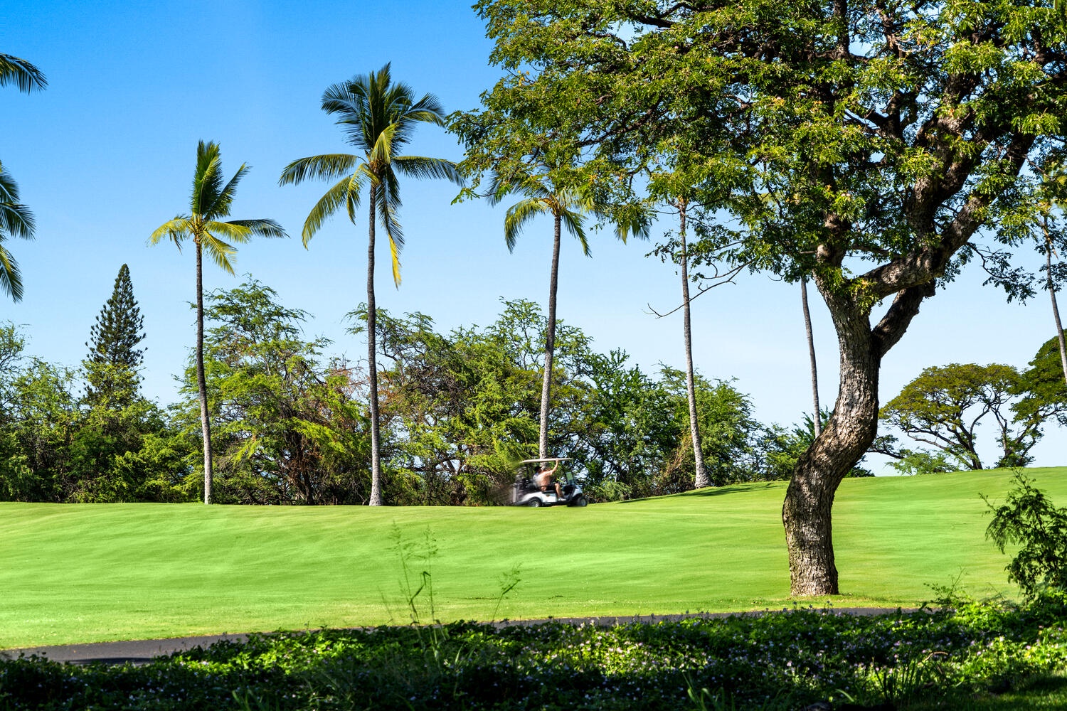 Kailua Kona Vacation Rentals, Keauhou Akahi 302 - Golf course front views for a sunny afternoon.