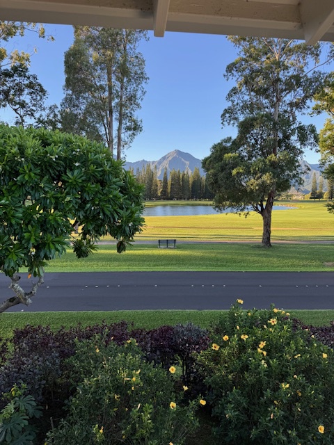 Princeville Vacation Rentals, Pili Aloha - Scenic view of lush greenery and trees from the plantation porch.