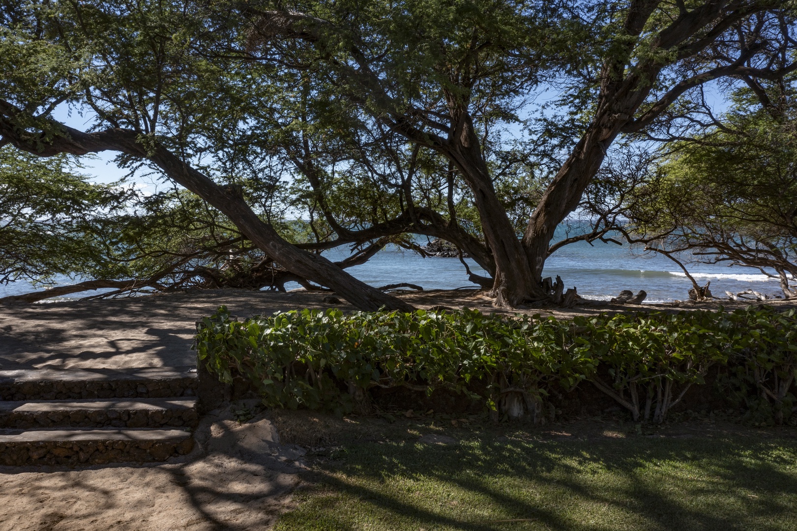 Kamuela Vacation Rentals, Hui Pu - Peaceful beachfront surrounded by trees.