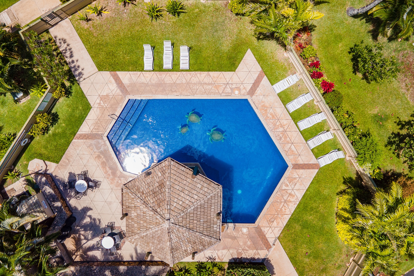 Kahuku Vacation Rentals, Pulelehua Kuilima Estates West #142 - Aerial shot of the community pool area.