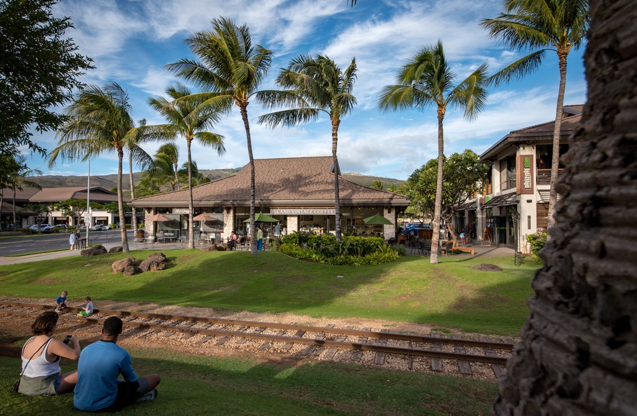 Tropical shopping at Island Time with palm trees and mountain views, located in the surrounding neighborhood near the property.
