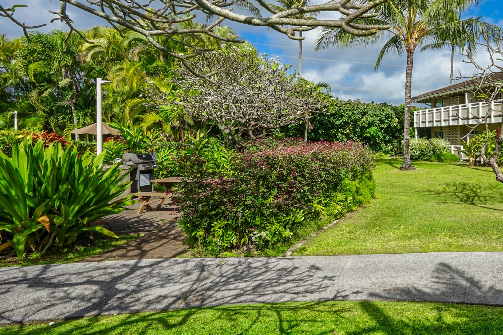 Kapaa Vacation Rentals, Kahaki Hale - Enjoy your morning walk at the community area.