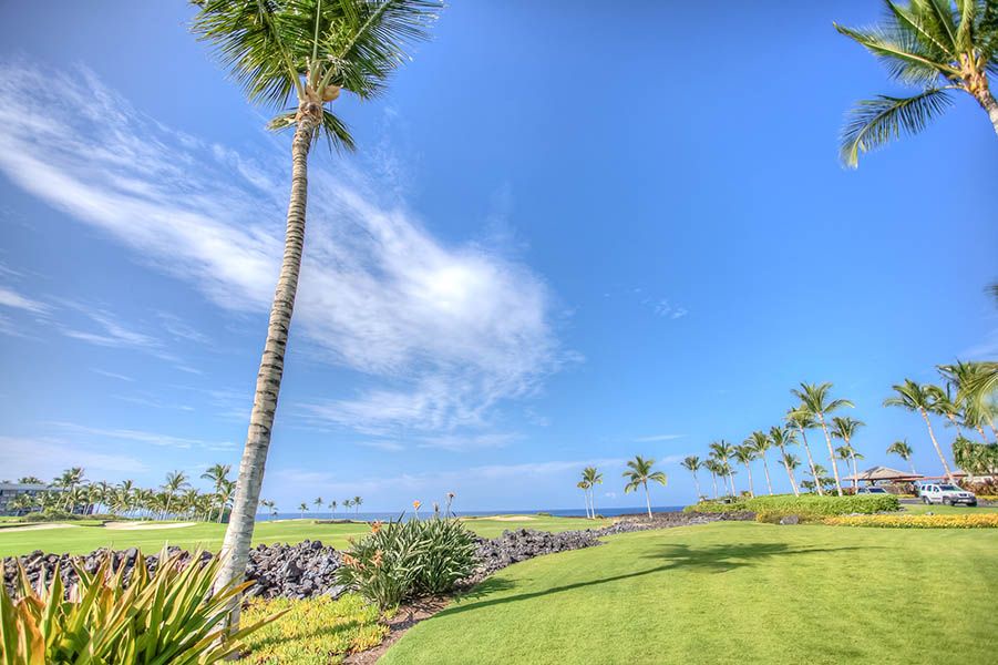 Waikoloa Vacation Rentals, Hali'i Kai 12E - Lots of grassy land for children to play on in front of 12E.