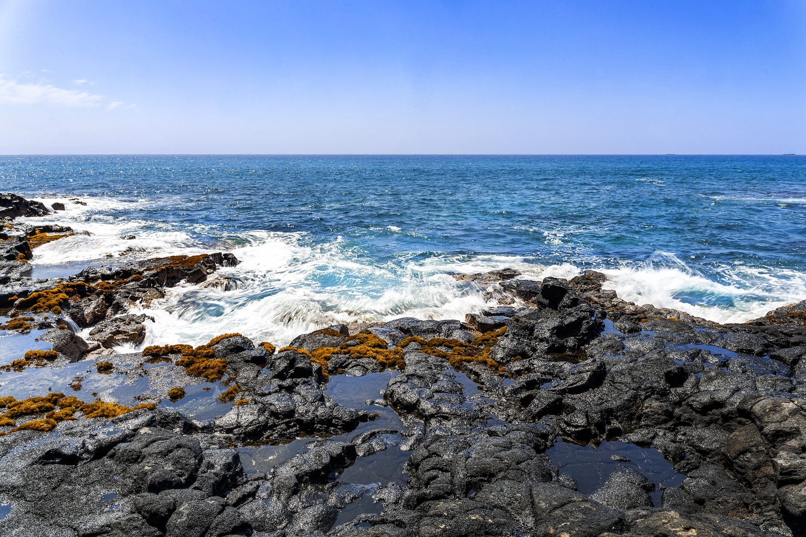 Kailua Kona Vacation Rentals, Dolphin Manor - Lava outcropping in front of the home