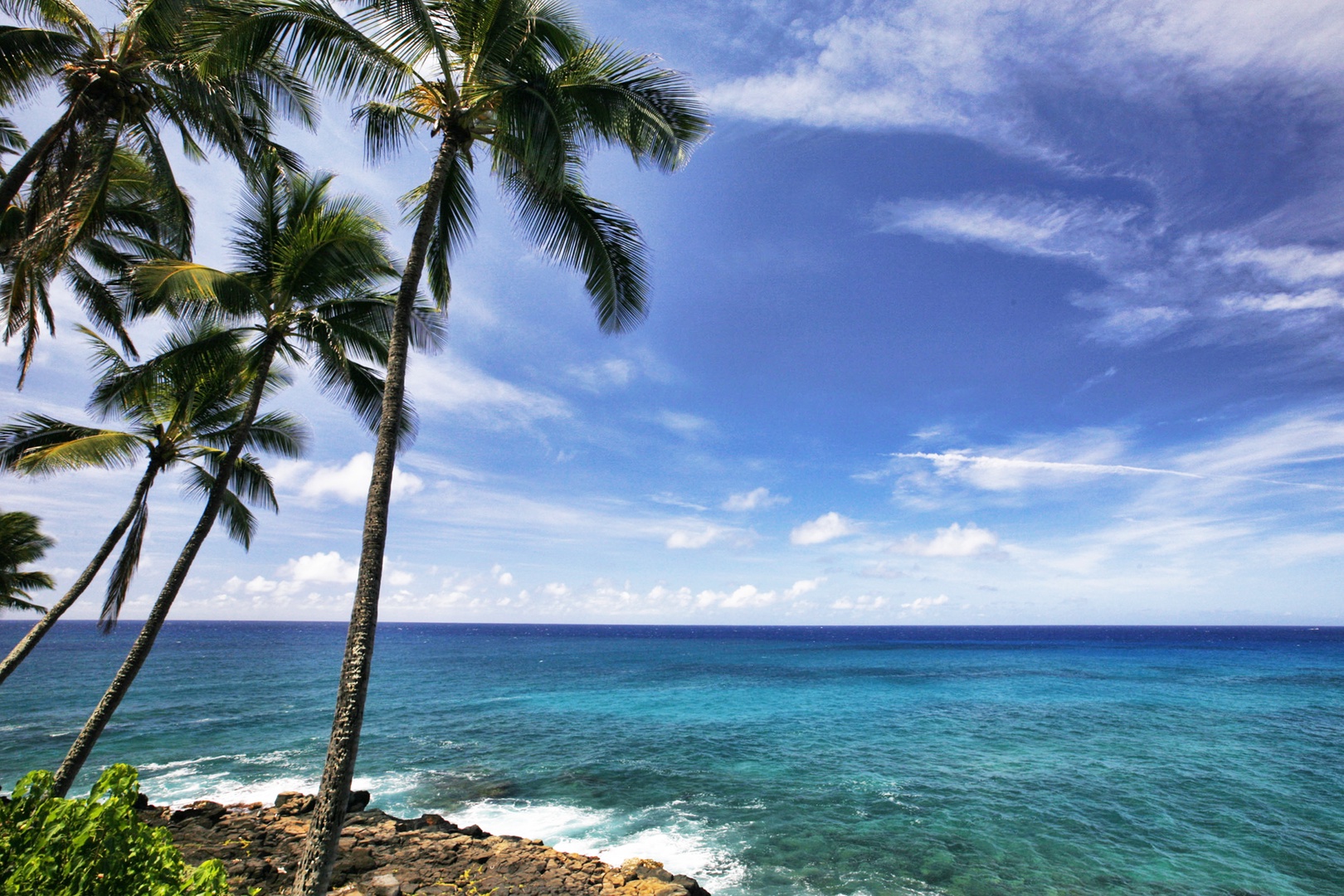 Koloa Vacation Rentals, Hale Kai'Opua - Tall palms swaying by Poipu’s crystal-clear waters.