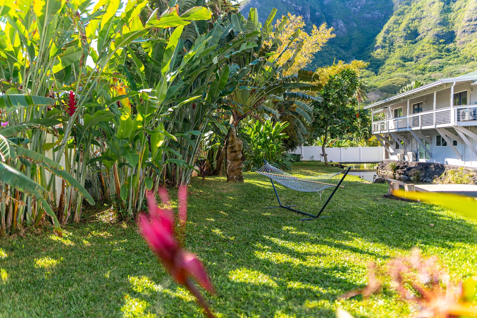 Kaaawa Vacation Rentals, Kualoa Ohia - In the yard, relax among the tropical foliage and take a nap in the hammock