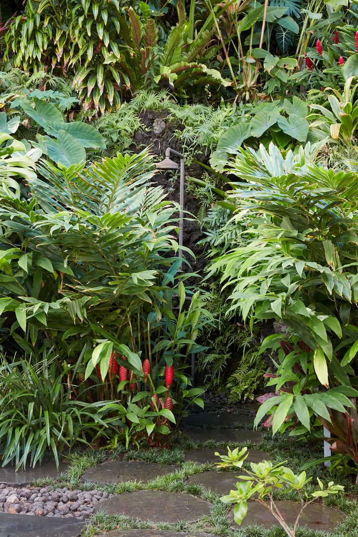 Honolulu Vacation Rentals, Diamond Head Hillside Estate** - Lush tropical foliage and thoughtfully curated gardens create a sense of privacy and tranquility throughout the estate.