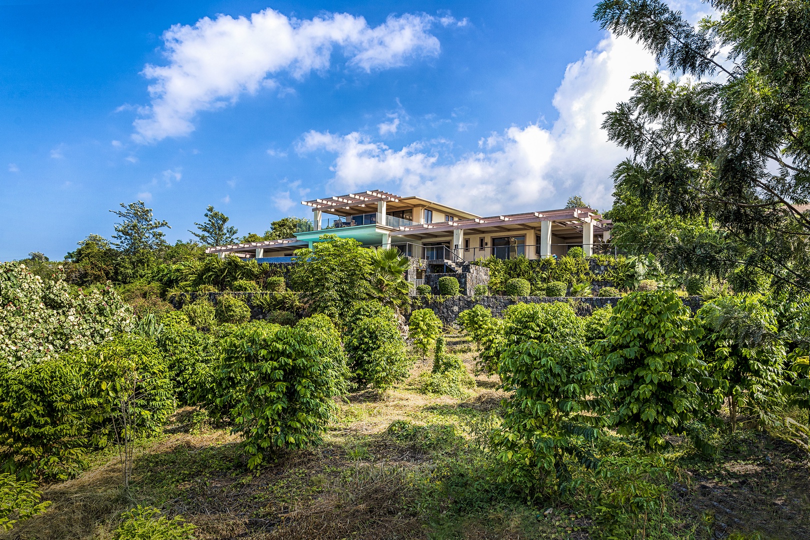 Kailua Kona Vacation Rentals, O'oma Plantation - This home sits on a 3 acre parcel, full of Coffee
