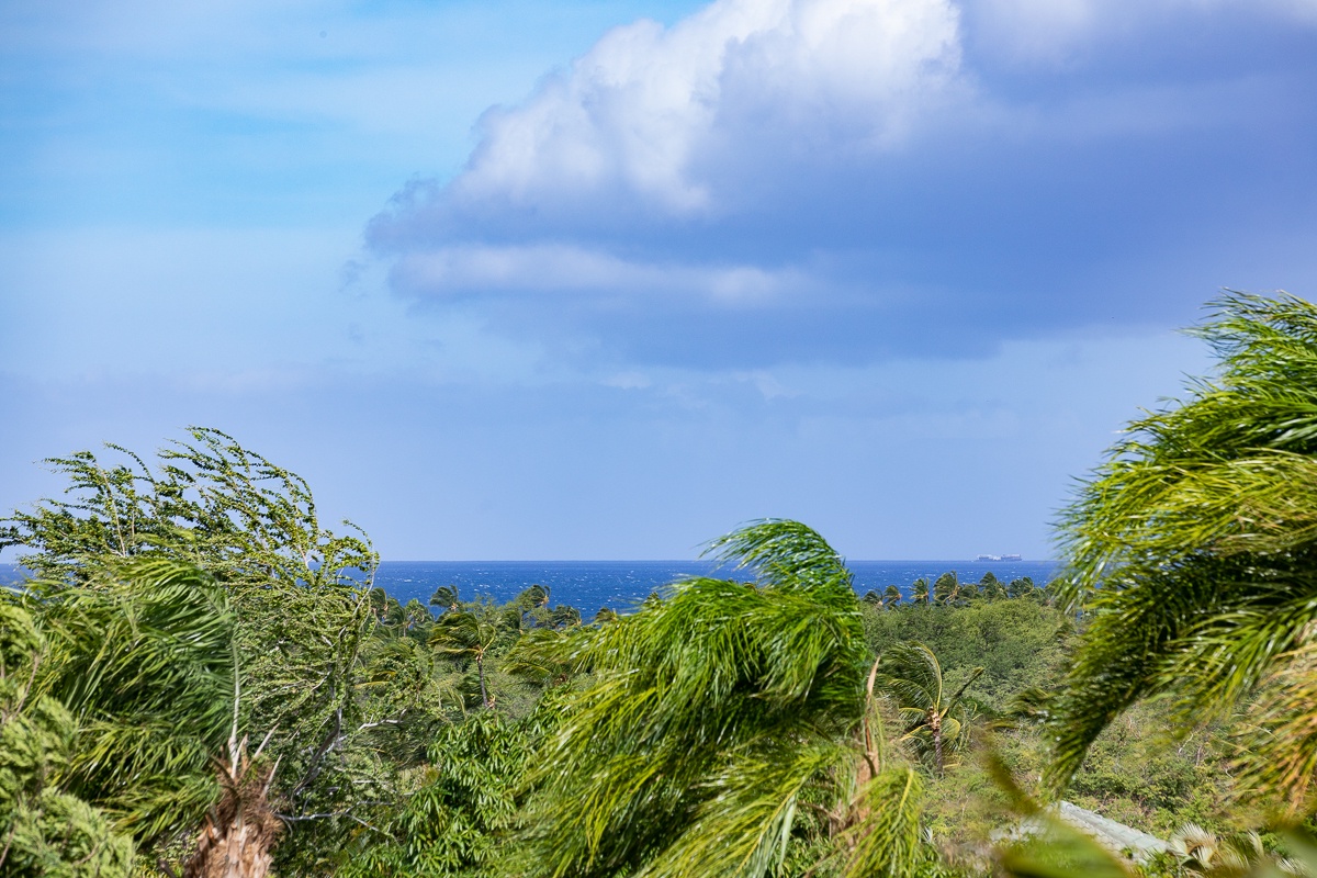 Kamuela Vacation Rentals, Beach Walker at Champion Ridge - Views