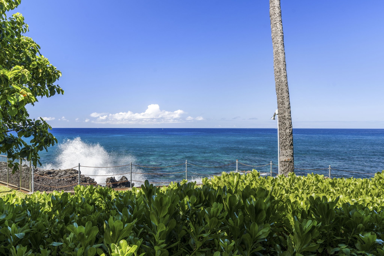 Kailua Kona Vacation Rentals, Kanaloa at Kona 701 - Stunning oceanfront setting with tropical palms and dramatic waves crashing against volcanic rocks under brilliant blue skies.
