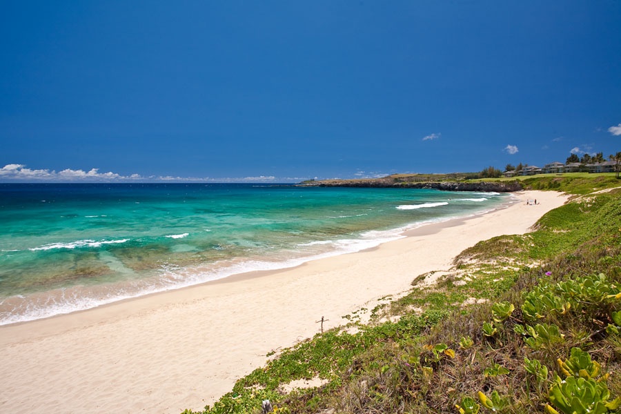 Kapalua Vacation Rentals, Ocean Dreams Premier Ocean Grand Residence 2203 at Montage Kapalua Bay* - Enjoy Kapalua's Ironwoods Beach for Surfing and Boogie Boarding!