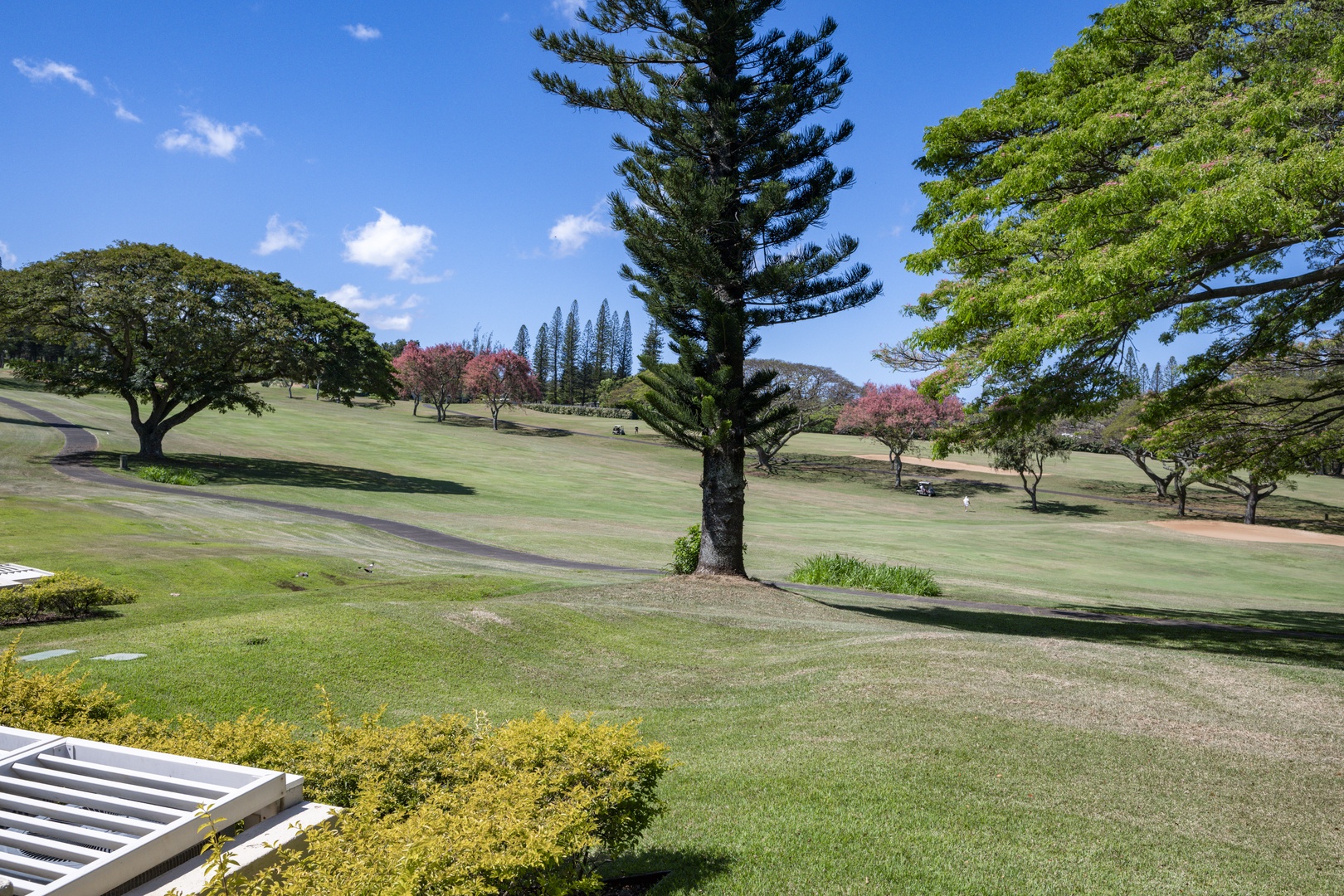 Lahaina Vacation Rentals, Kapalua Golf Villas 14P1-2 - Wake up to views like this—lush greens and open skies right outside your villa.