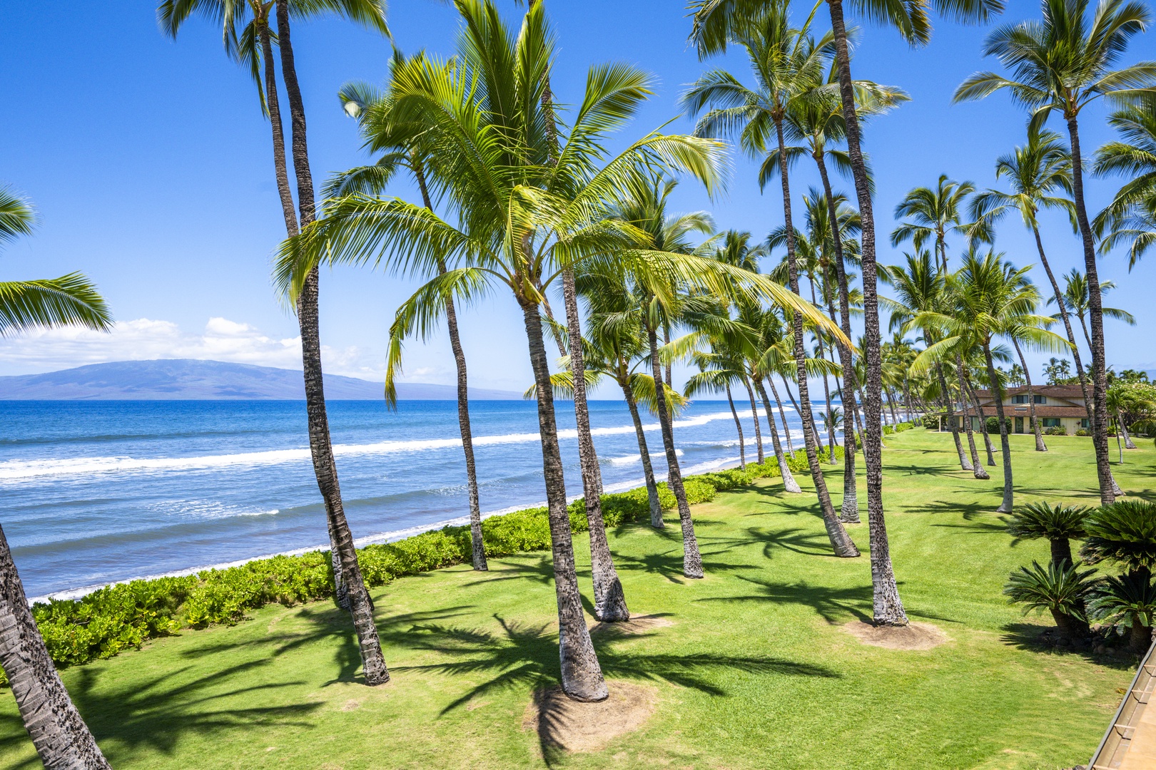 Lahaina Vacation Rentals, Puamana 240-3 - A lush green lawn meets the serene blue waters, perfect for relaxation.