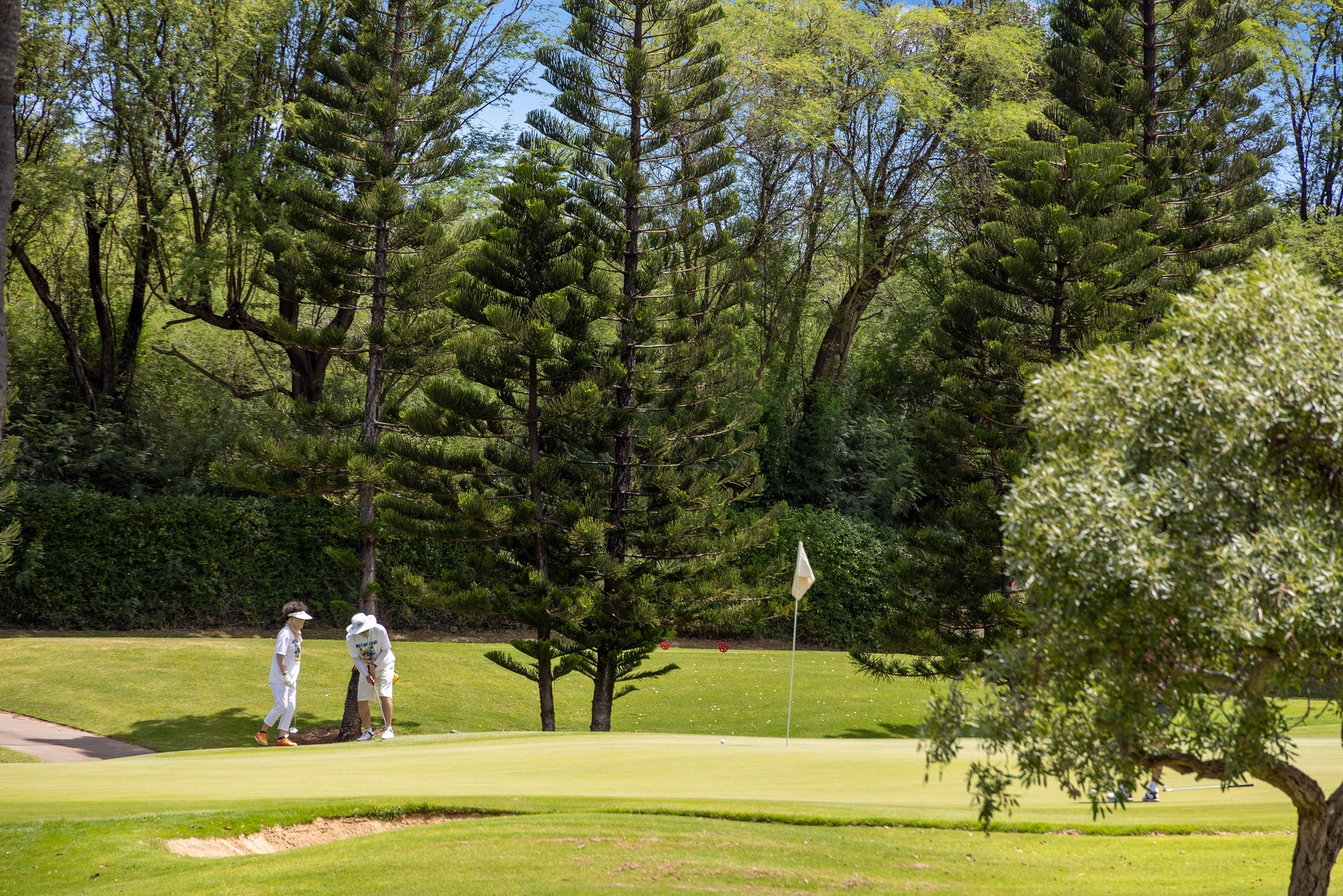 Pristine golf course with lush fairways and mature trees creates a serene sporting environment for guests.