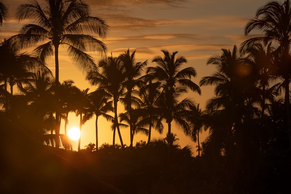 Kamuela Vacation Rentals, Canoe House & Beach Walker at Champion Ridge - Perfect lanai for sunset viewing.