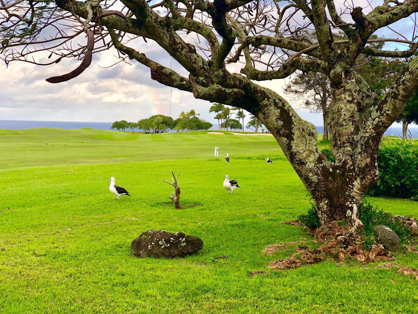 Princeville Vacation Rentals, Half Moon Hana - Golf course and ocean views.