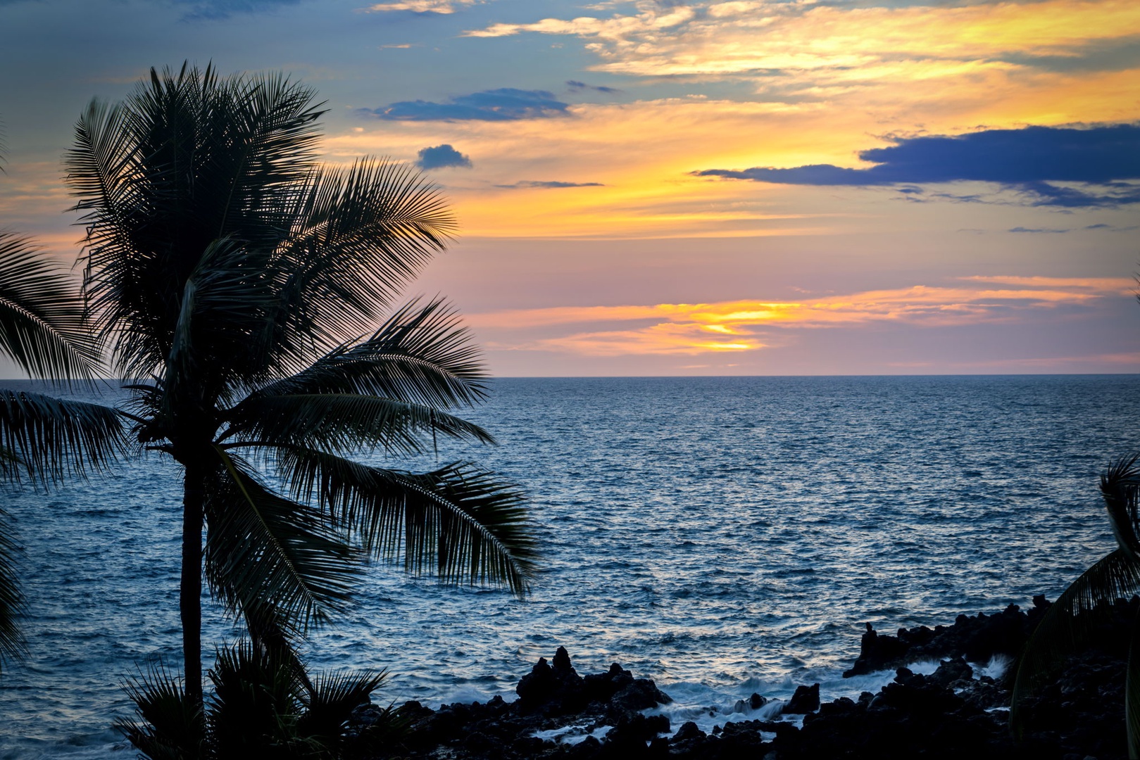 Kailua Kona Vacation Rentals, Kanaloa at Kona 1606 - A lone palm stands against the sunset over the water.