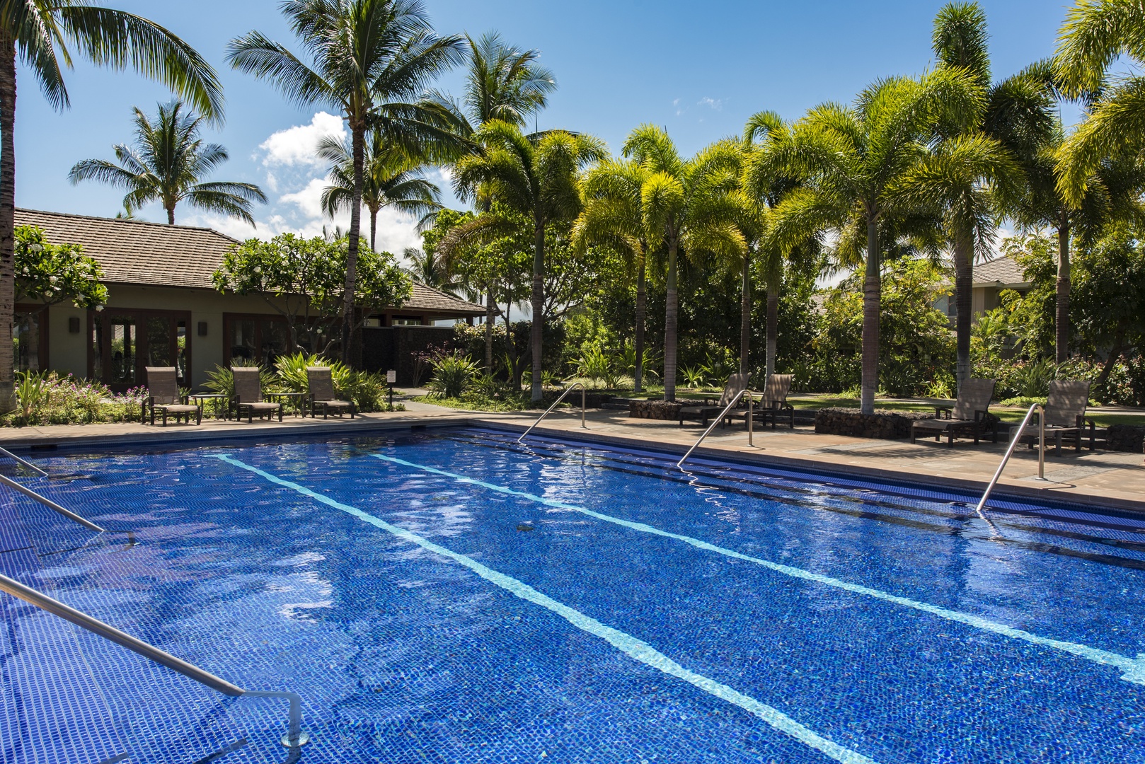 Kamuela Vacation Rentals, Palm View Villa - Lap pool
